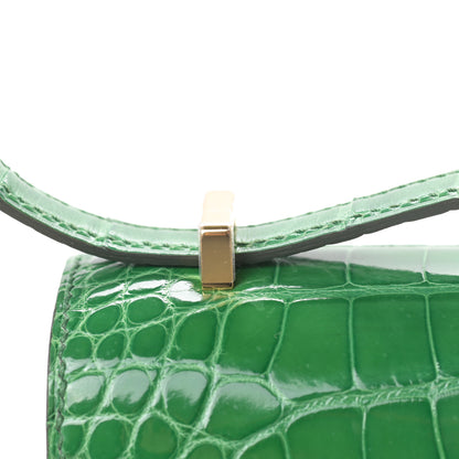 Hermes Shiny Alligator Constance 18 Cactus 16 of 21