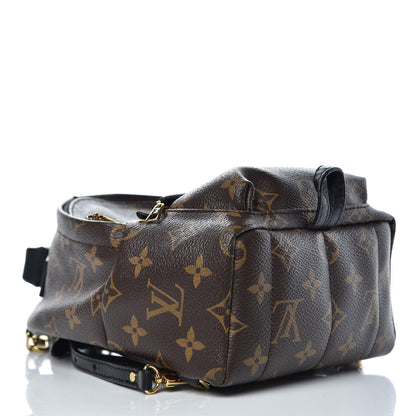 Louis Vuitton Monogram Palm Springs Backpack Mini 4 of 12