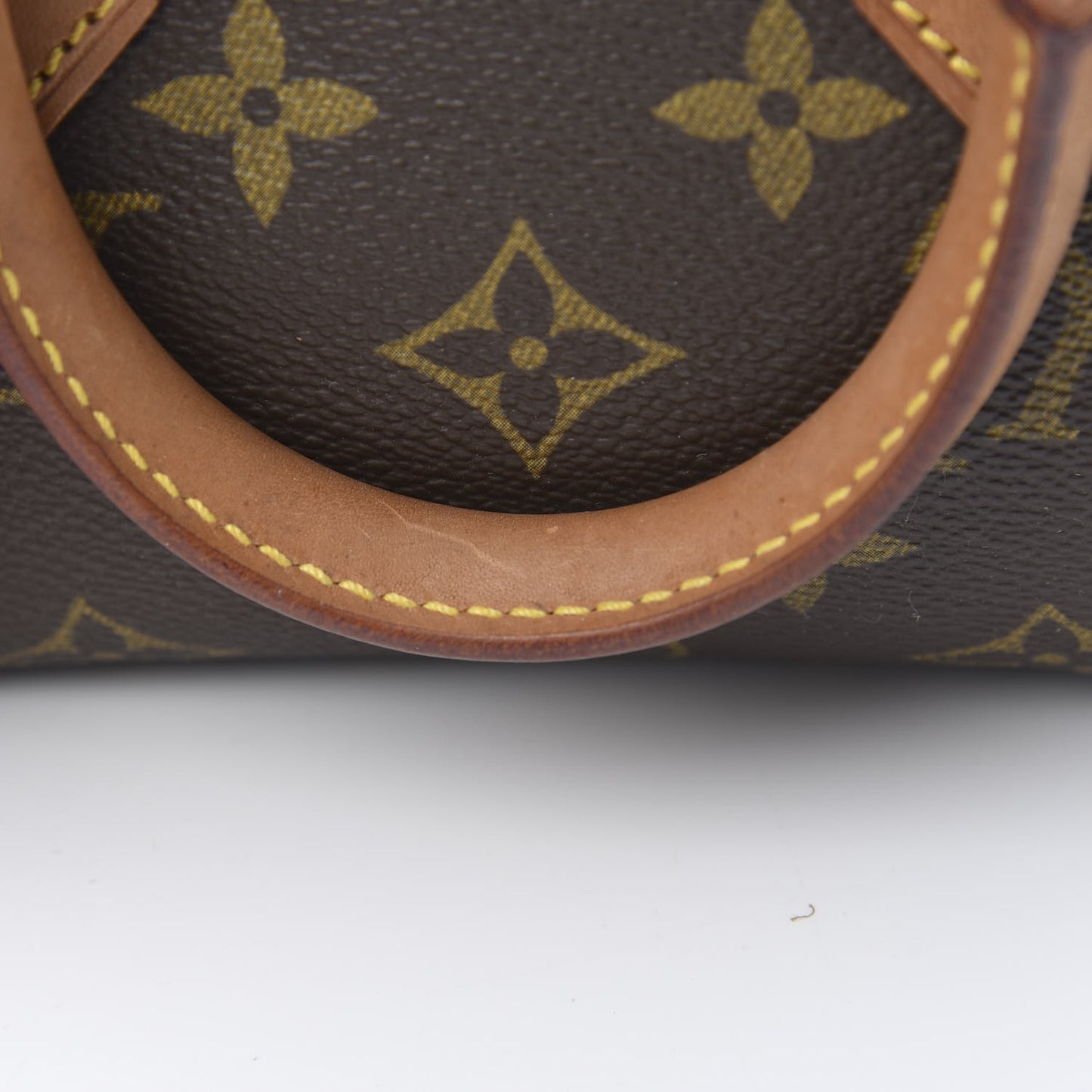 Monogram Mini Sac HL Speedy