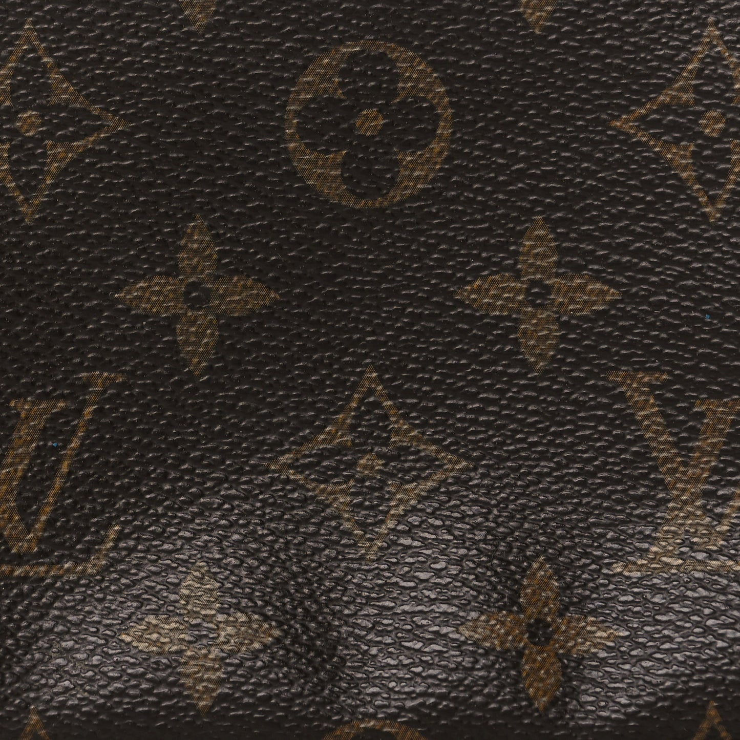 Monogram Mini Pochette Accessories