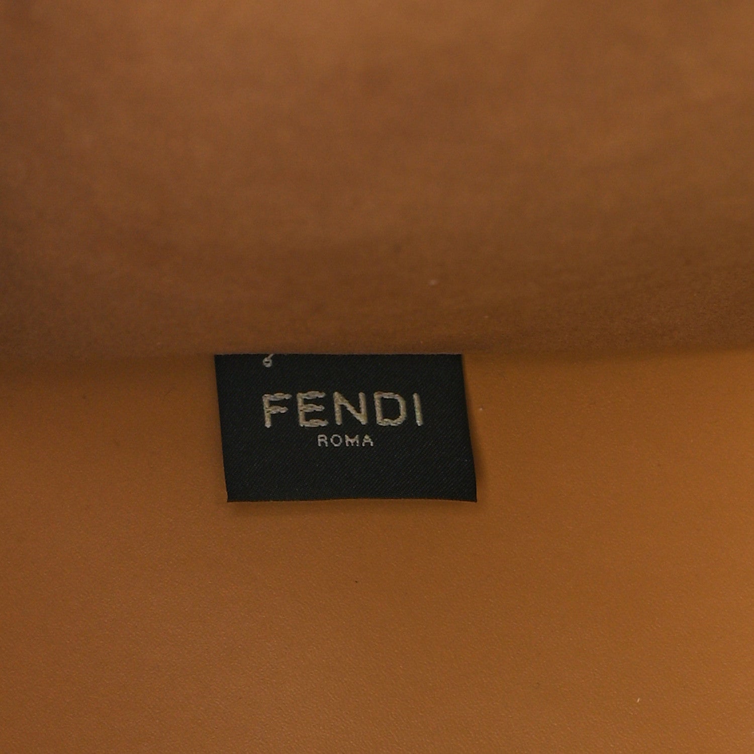 Fendi Vitello King Plexiglass Elaphe Python Print Logo Medium Fendi Sunshine Shopper Tote Miele Scuro Makeup 7 of 10