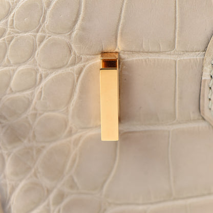 Hermes Matte Alligator Birkin 25 Trench 25 of 34