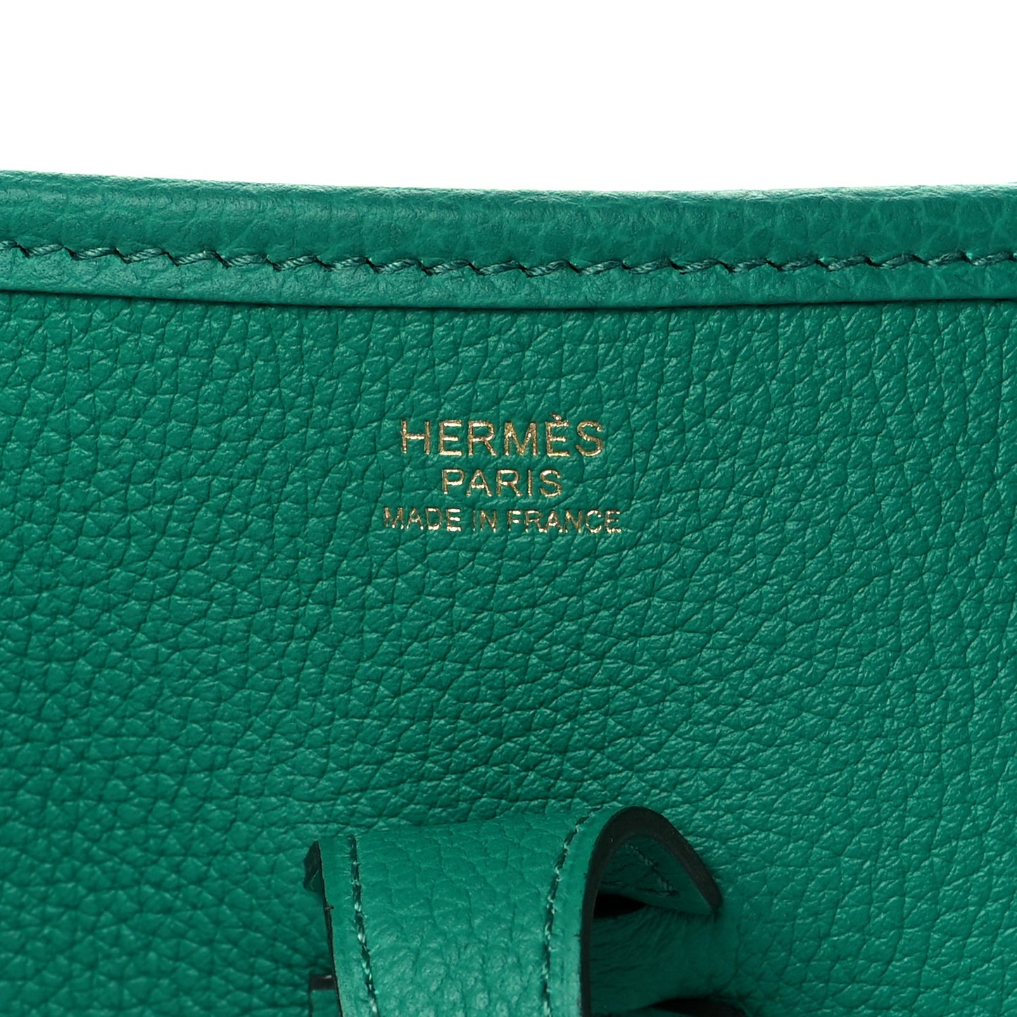 Taurillon Clemence Evelyne III PM Vert Vertigo