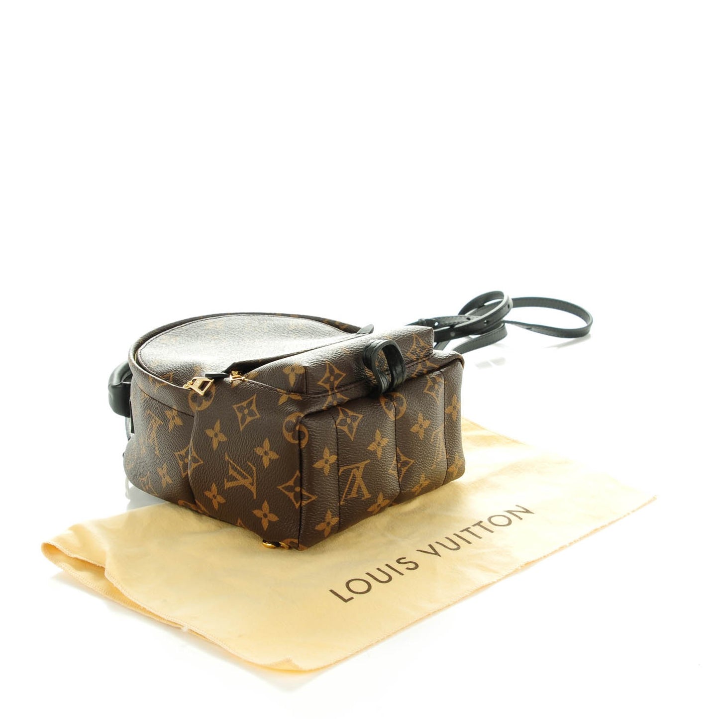 Monogram Palm Springs Backpack Mini
