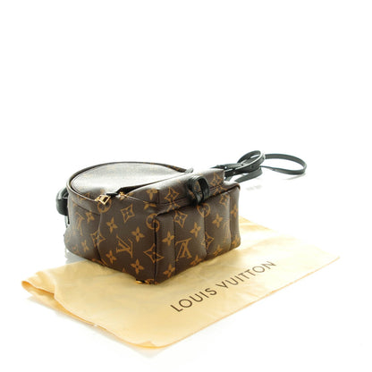 Louis Vuitton Monogram Palm Springs Backpack Mini 4 of 7