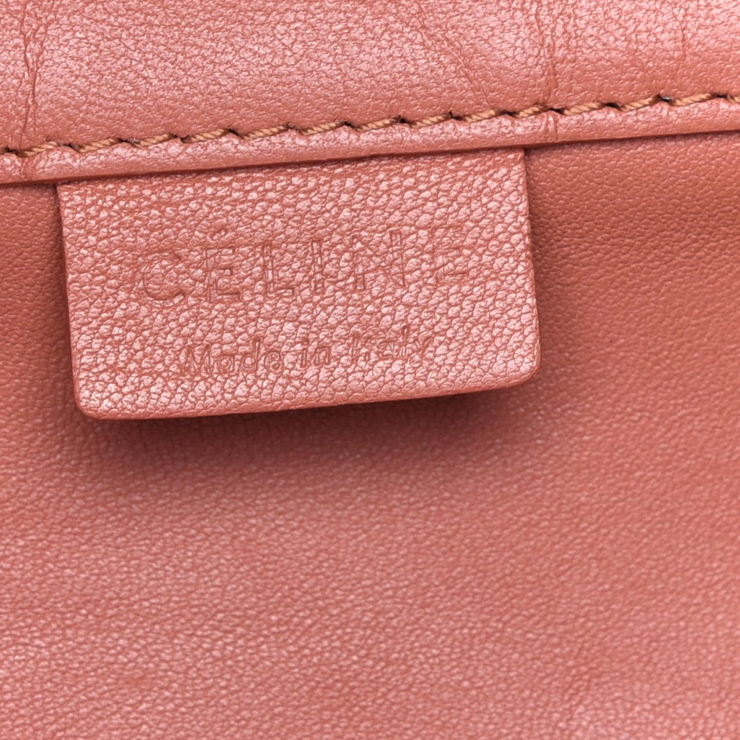 Lambskin Horizontal Cabas Sienna