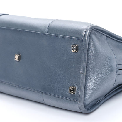Loewe Metallic Calfskin Amazona 28 Silver 10 of 11