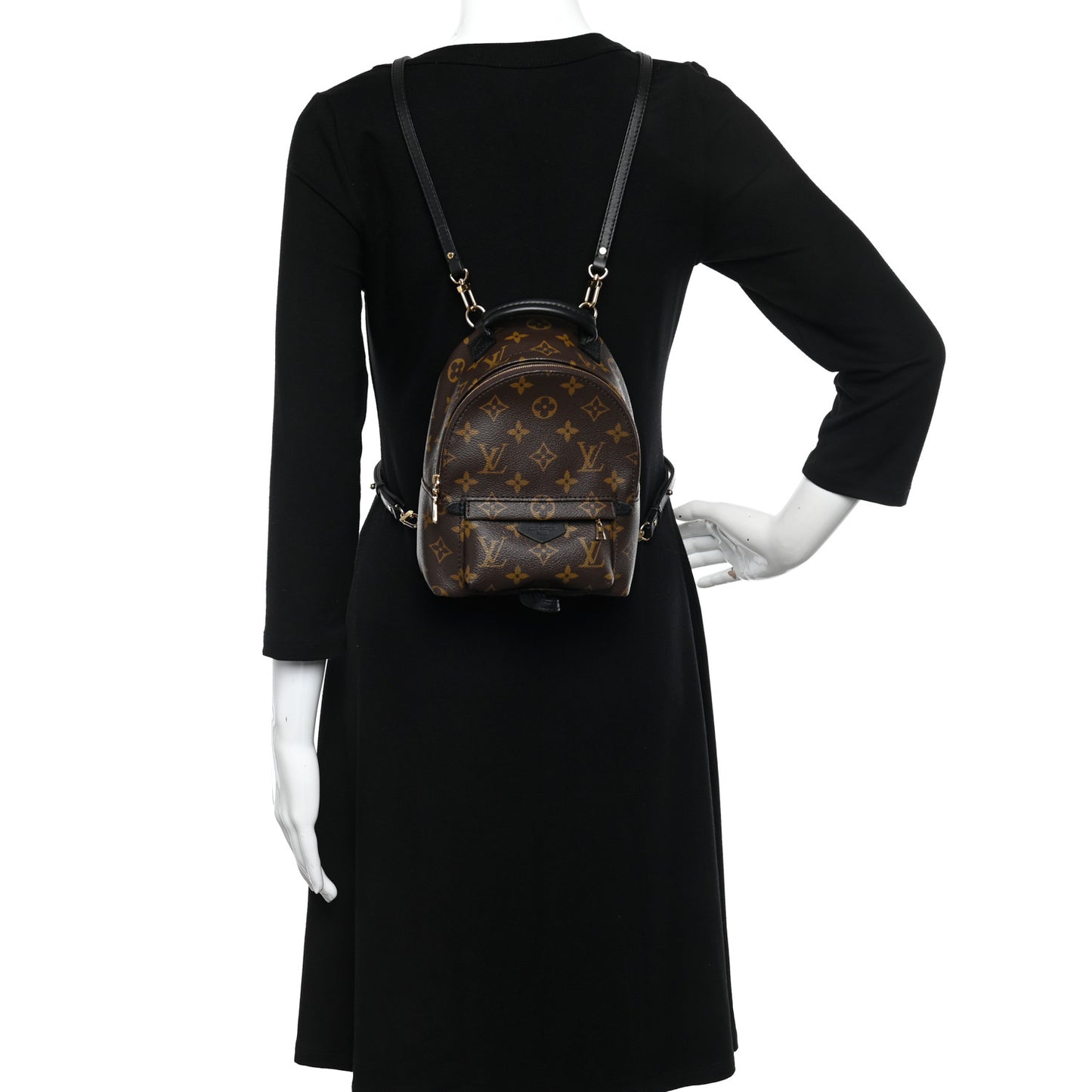 Monogram Palm Springs Backpack Mini