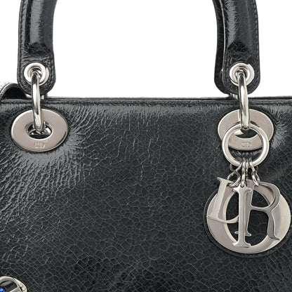 Christian Dior Ceramic Effect Deerskin Jeweled Swan Lady Dior Black 12 of 12