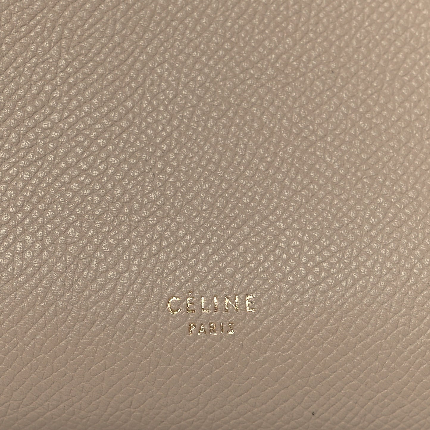 Grained Calfskin Mini Belt Bag Light Taupe