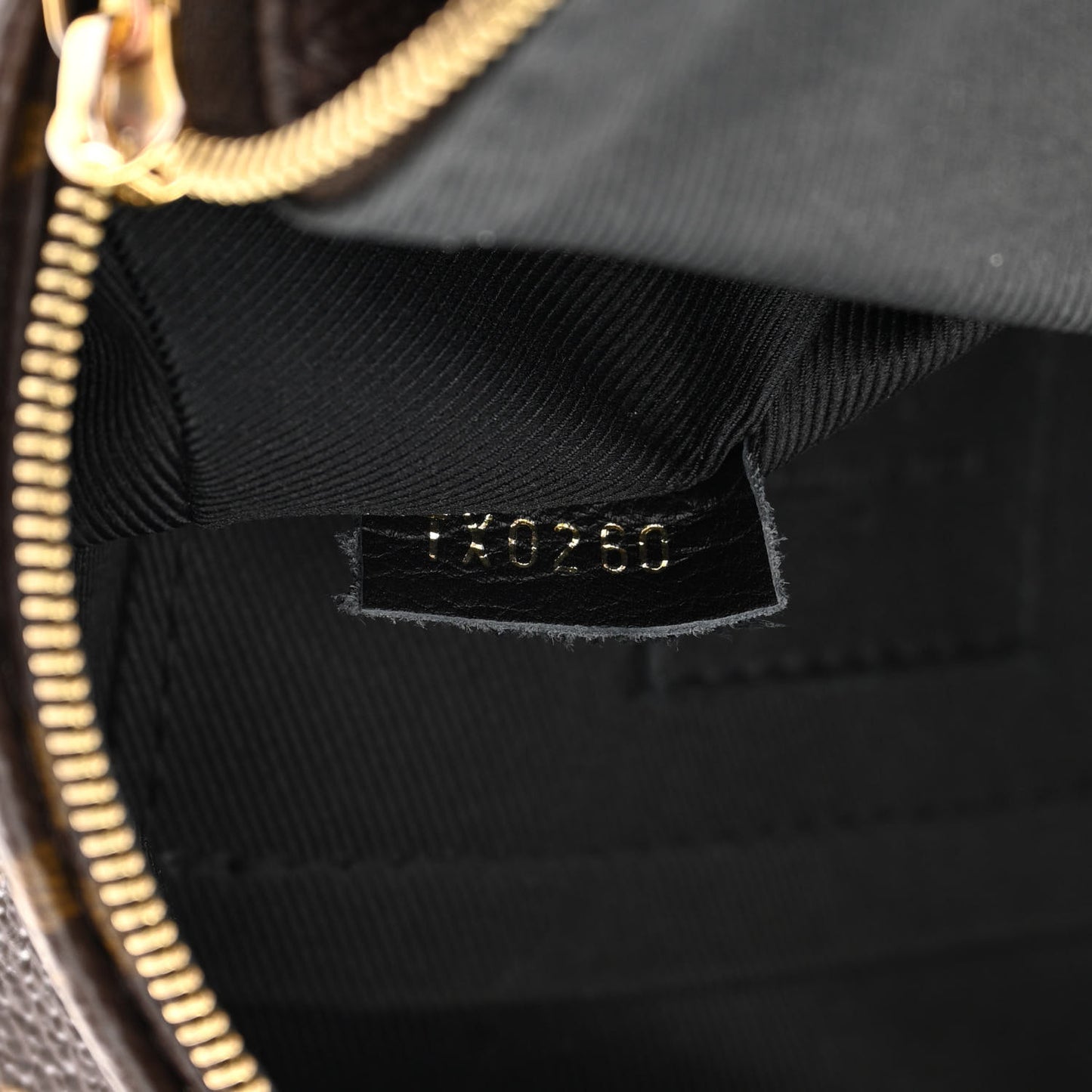 Monogram Palm Springs Backpack Mini