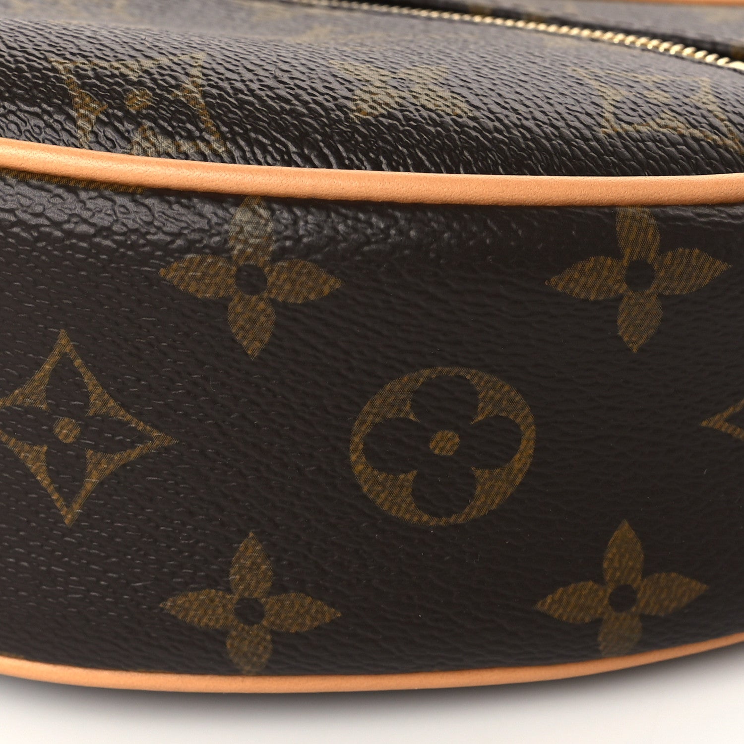 Louis Vuitton Monogram Loop 9 of 10