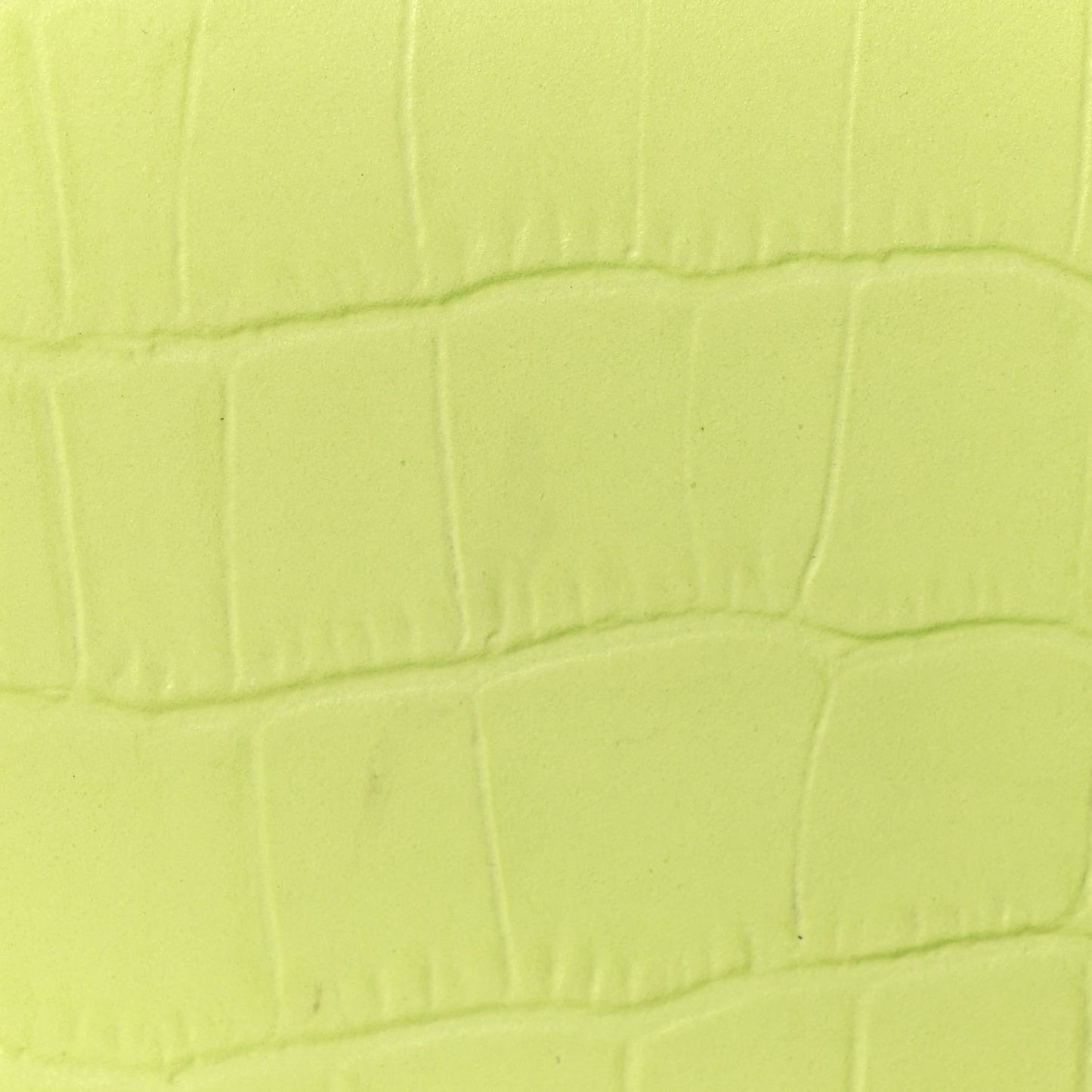 Calfskin Crocodile Embossed Le Chiquito Light Green