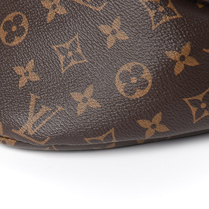 Louis Vuitton Monogram Bumbag 8 of 11