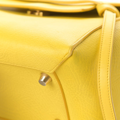 Celine Elephant Calfskin Mini Belt Bag Sun Yellow 11 of 21