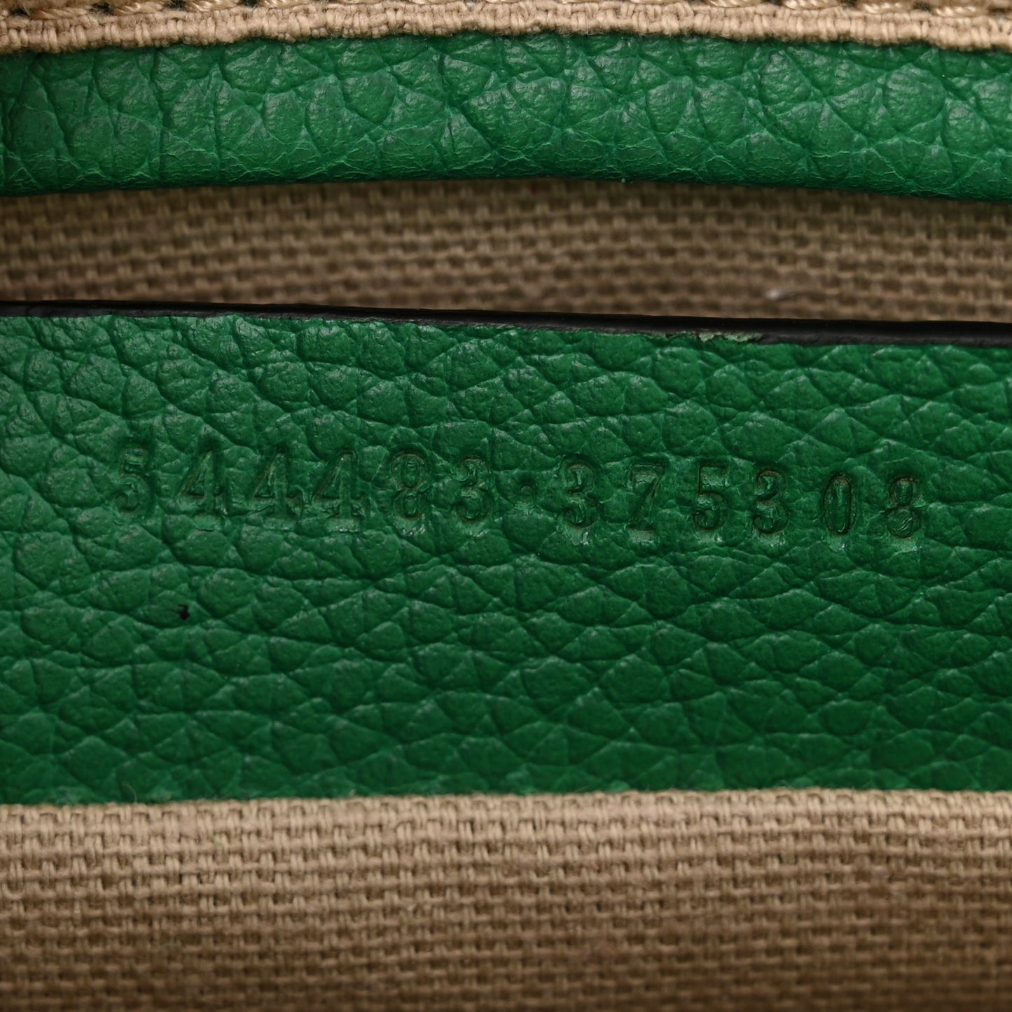 Pebbled Calfskin Mini Padlock Tote Green