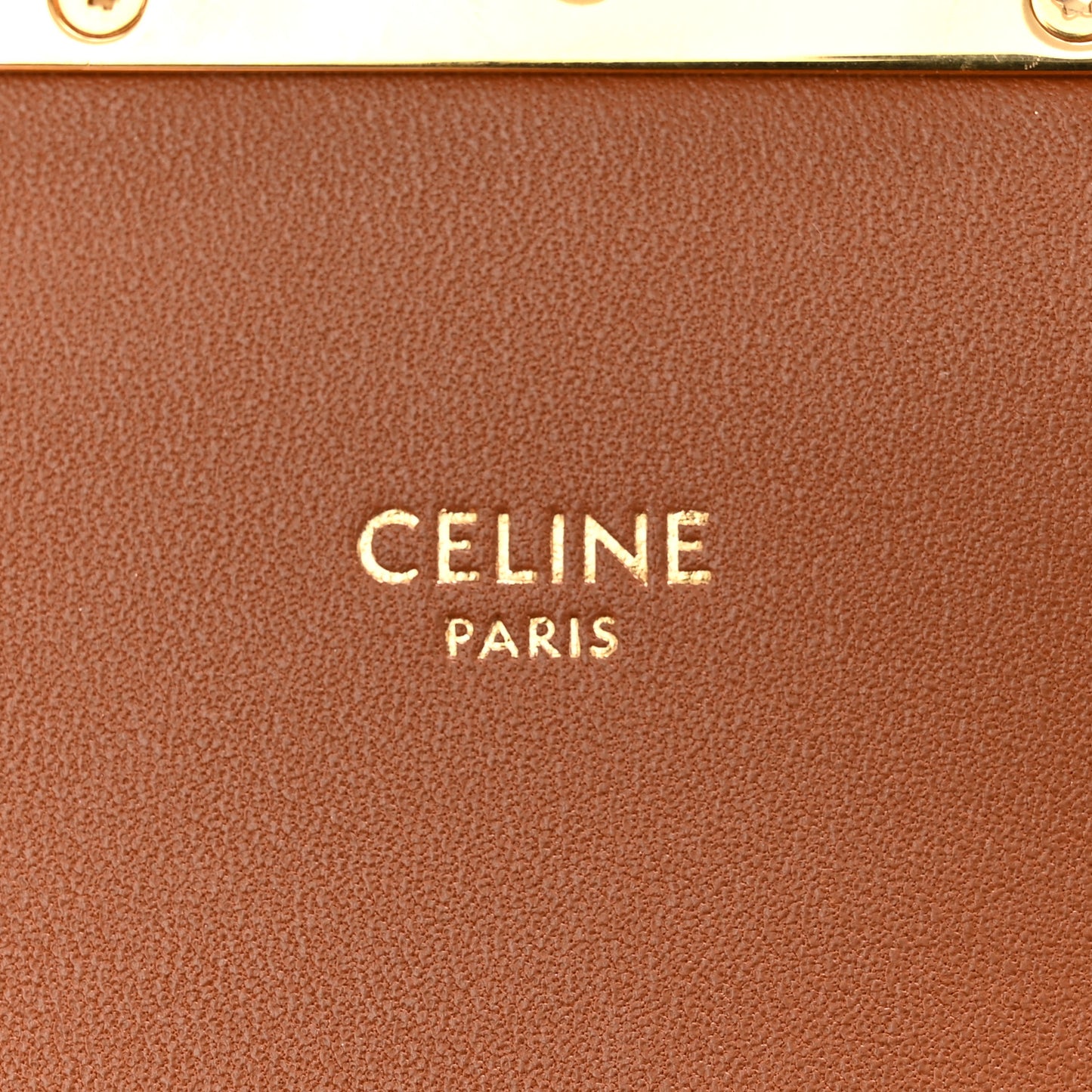 Calfskin Triomphe Canvas Teen Triomphe Bag Tan
