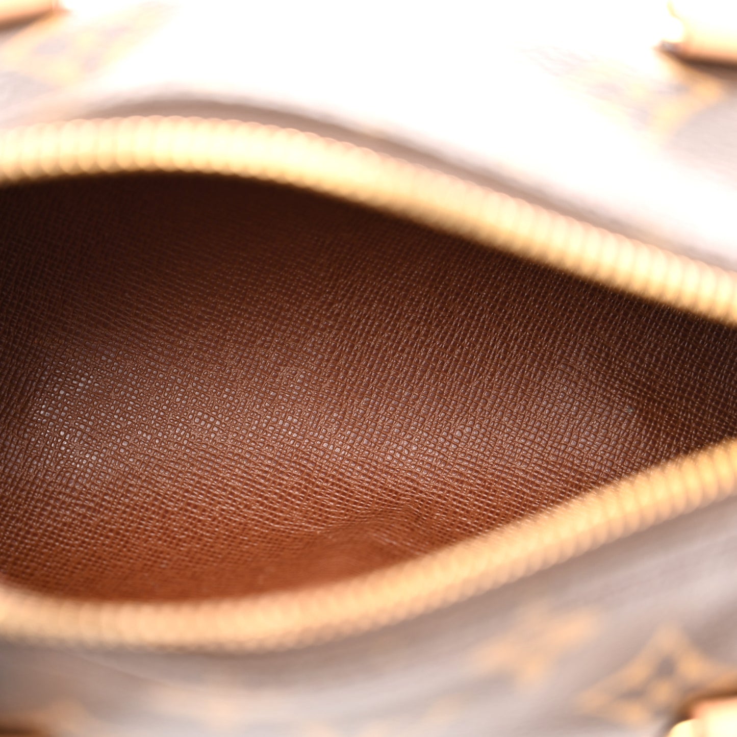 Monogram Papillon 19