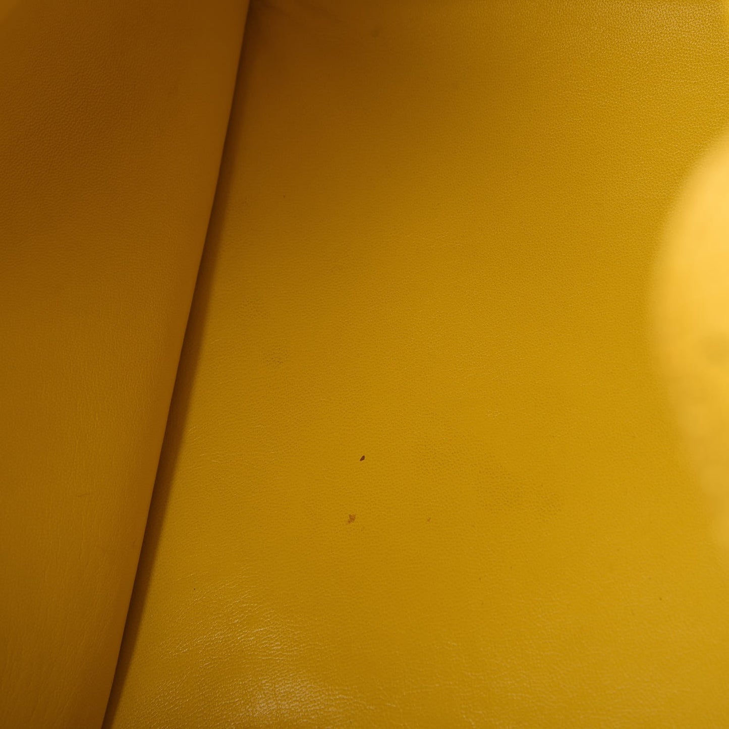 Python Medium Phantom Luggage Yellow