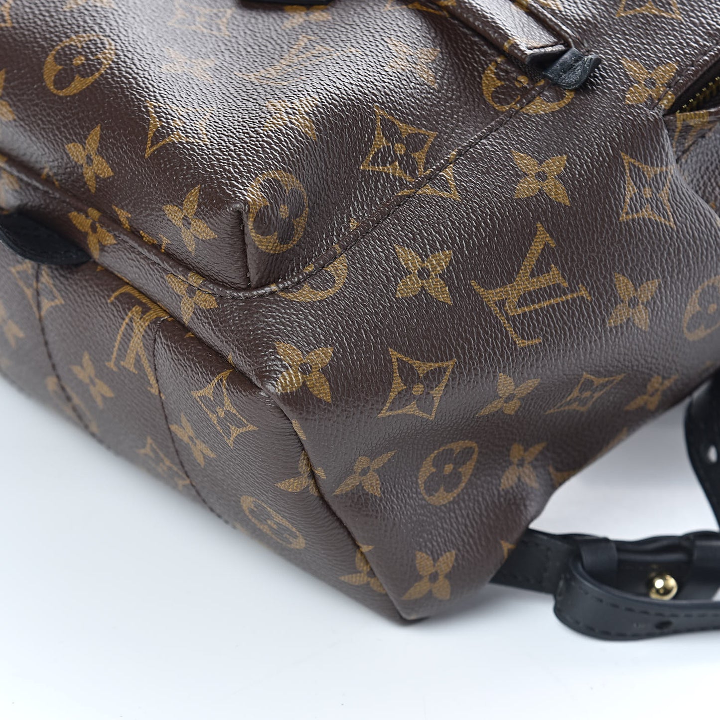 Monogram Palm Springs Backpack PM
