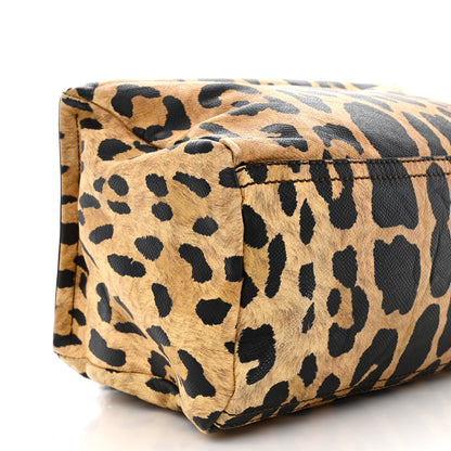 Givenchy Calfskin Leopard Print Small Pandora Multicolor 10 of 17