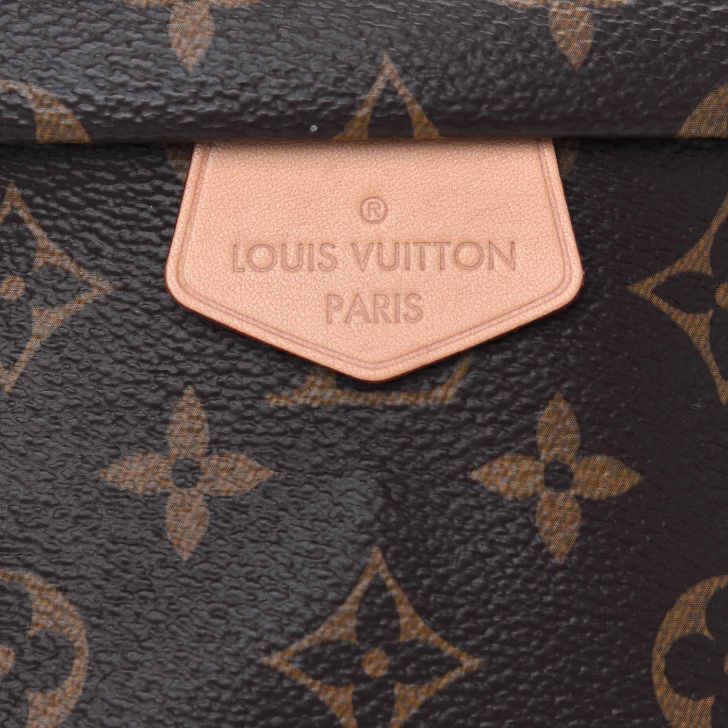Louis Vuitton Monogram Bumbag 5 of 6