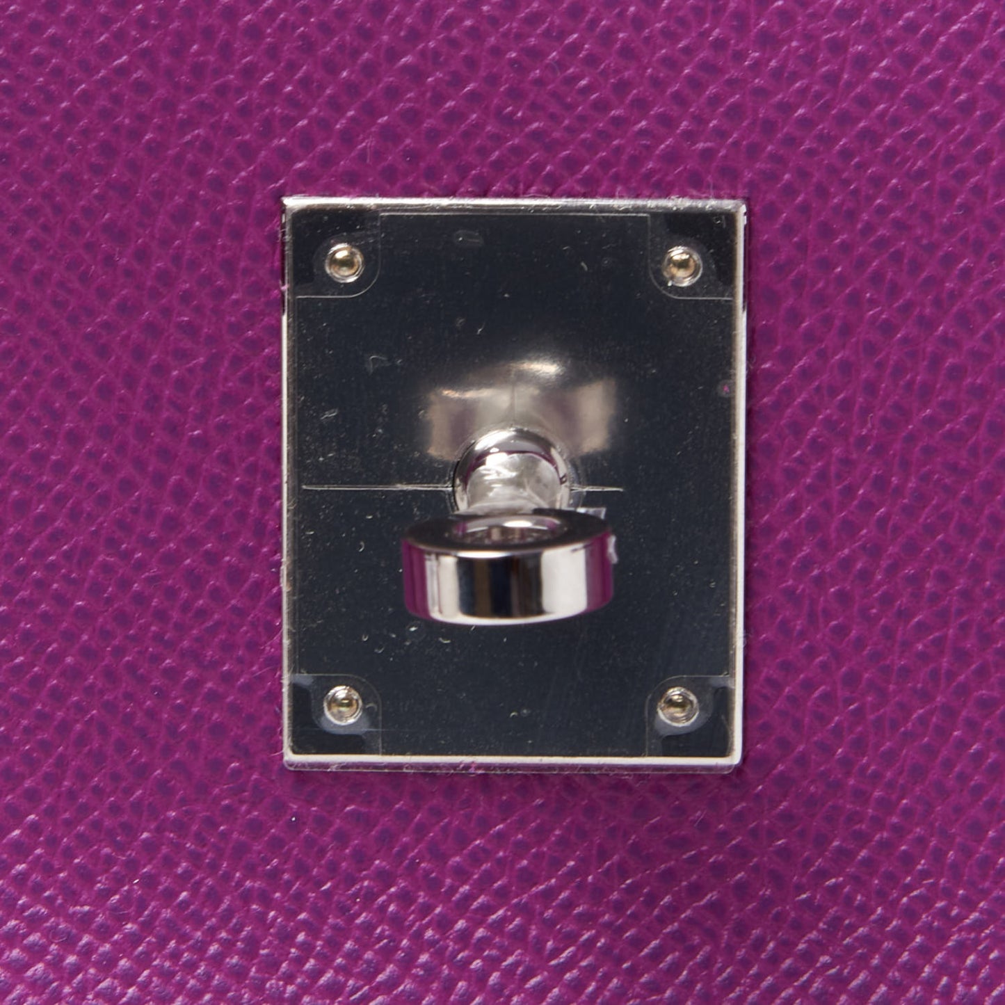 Epsom Birkin 30 Anemone