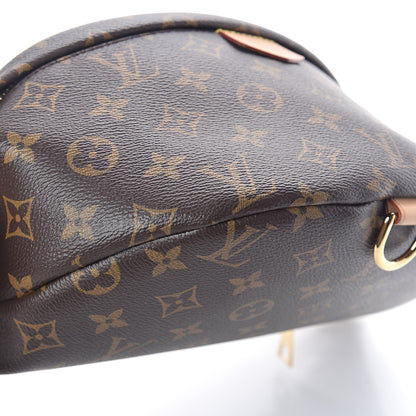 Louis Vuitton Monogram Bumbag 7 of 8