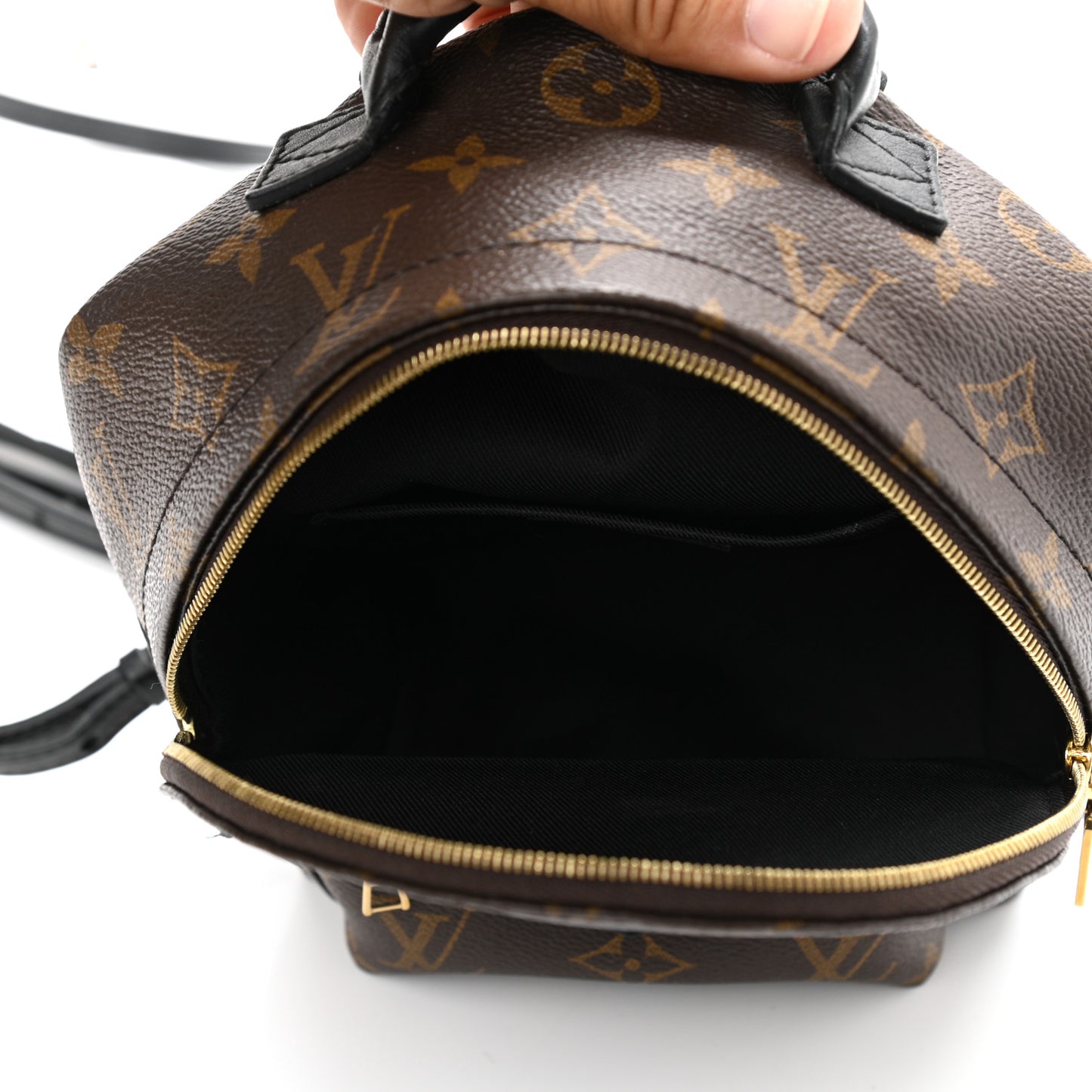Monogram Palm Springs Backpack Mini