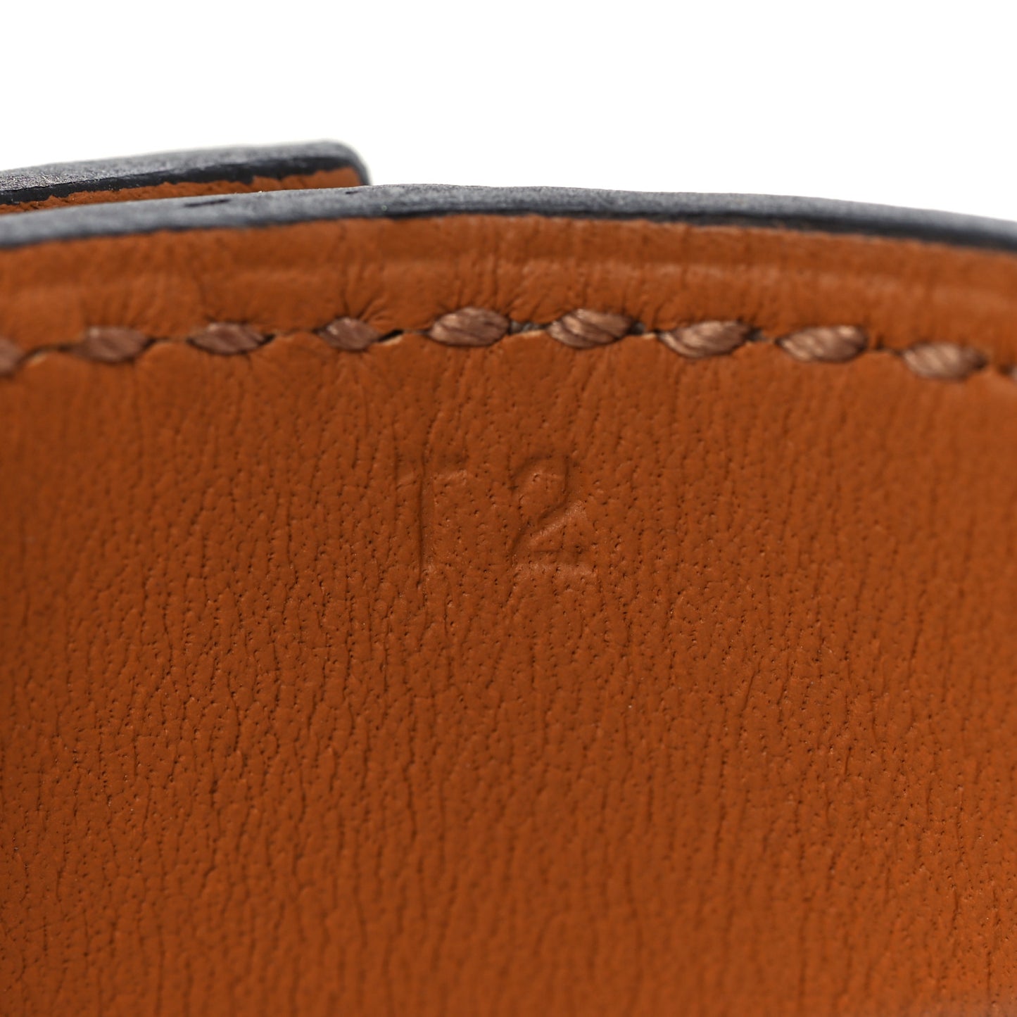 Lizard Collier De Chien CDC 24 Bracelet T2 Ombre