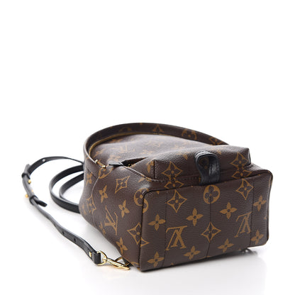 Louis Vuitton Monogram Palm Springs Backpack Mini 4 of 11