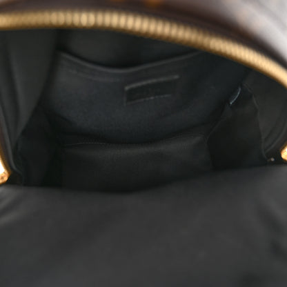 Louis Vuitton Monogram Palm Springs Backpack PM 5 of 9