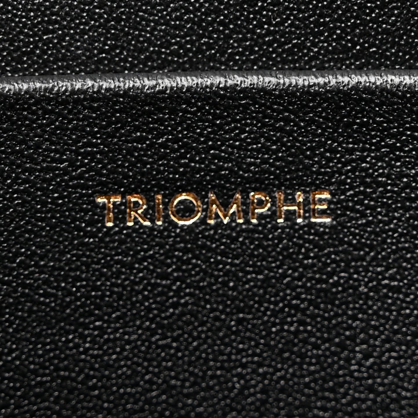 Shiny Calfskin Medium Triomphe Black