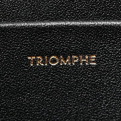 Celine Shiny Calfskin Medium Triomphe Black 7 of 12