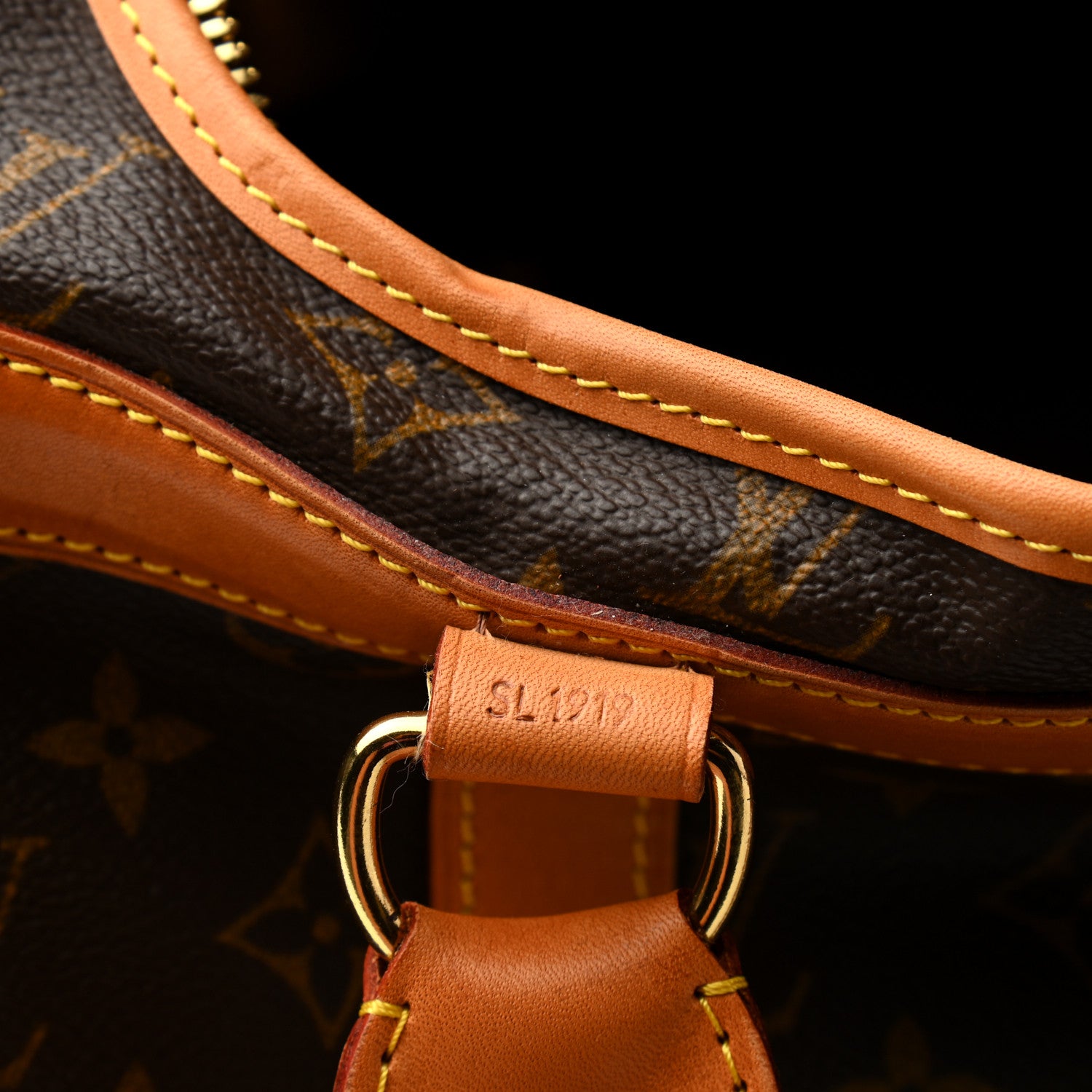 Louis Vuitton Monogram Sac Chien 40 Pet Carrier 7 of 9