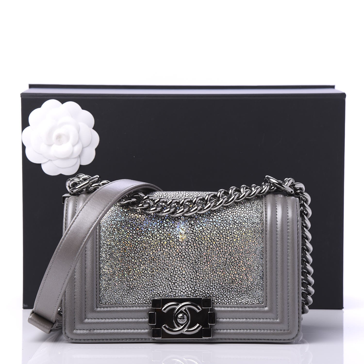Chanel Galuchat Stingray Small Boy Flap Silver 11 of 11