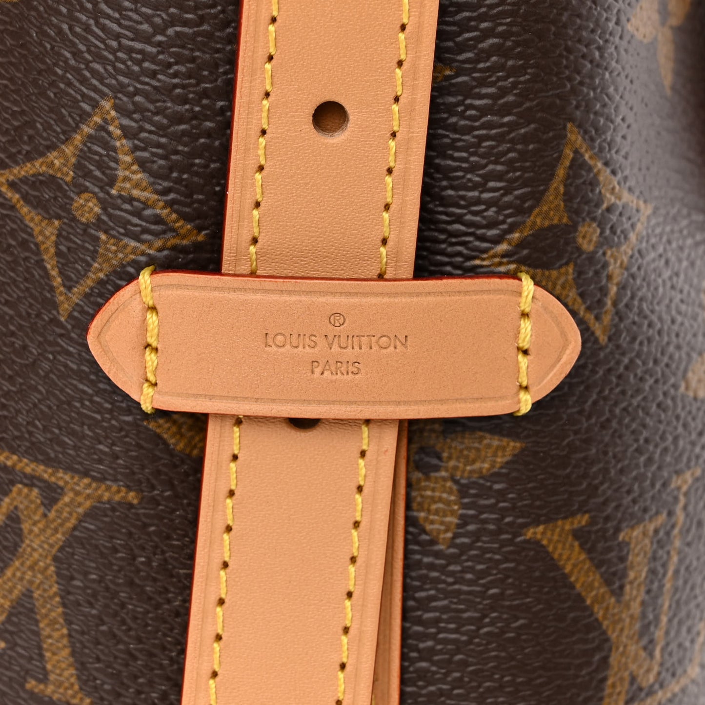 Monogram CarryAll PM