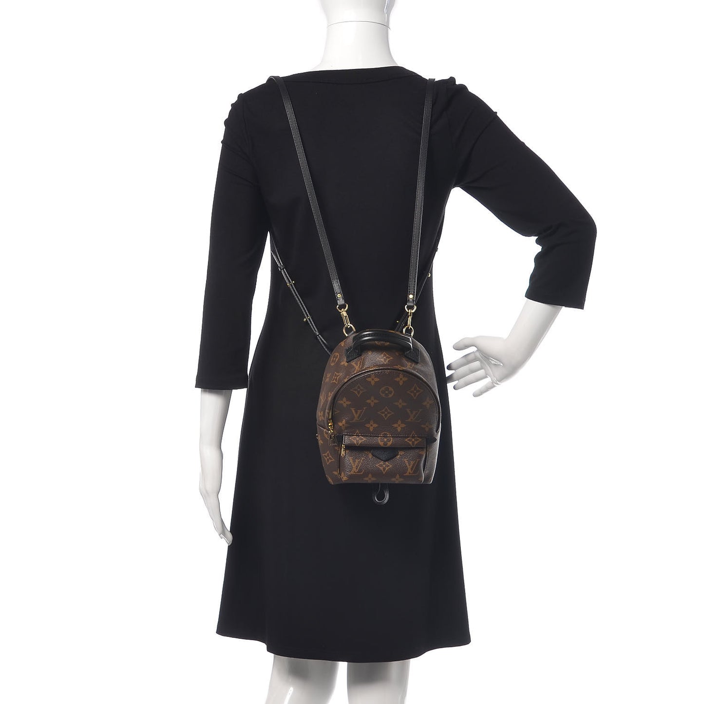 Monogram Palm Springs Backpack Mini