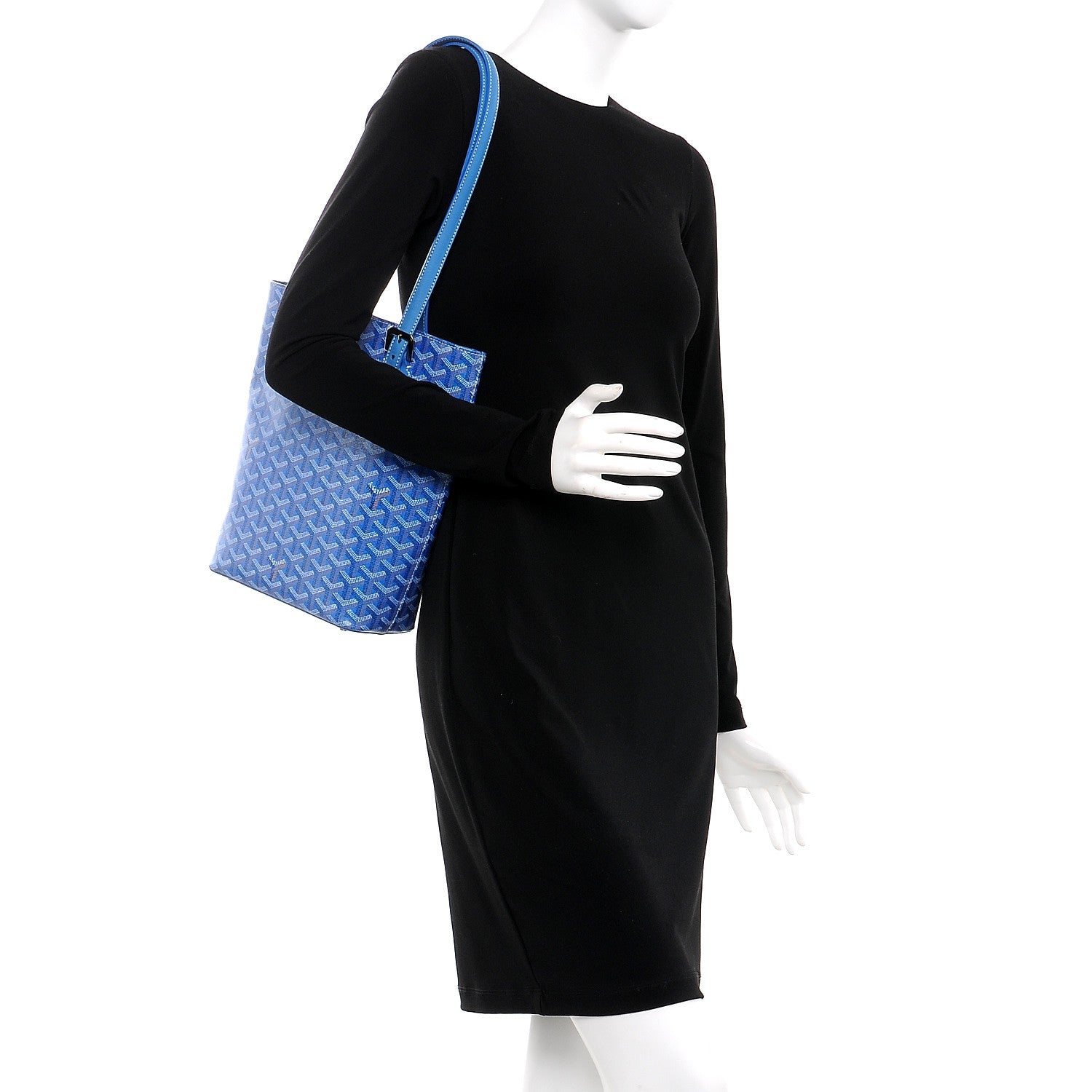 Goyard Goyardine Marie Galante PM Sky Blue 2 of 8