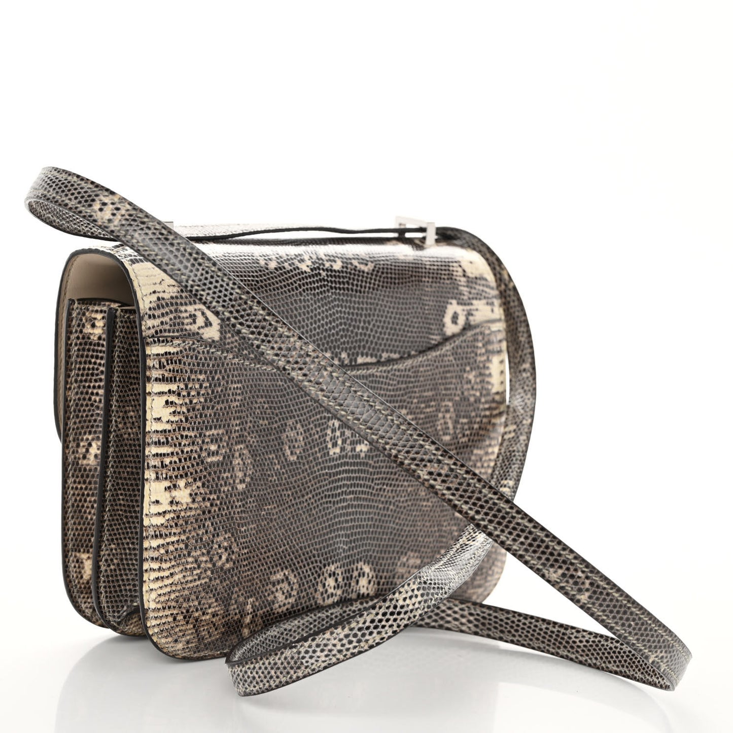 Lizard Constance 18 Ombre