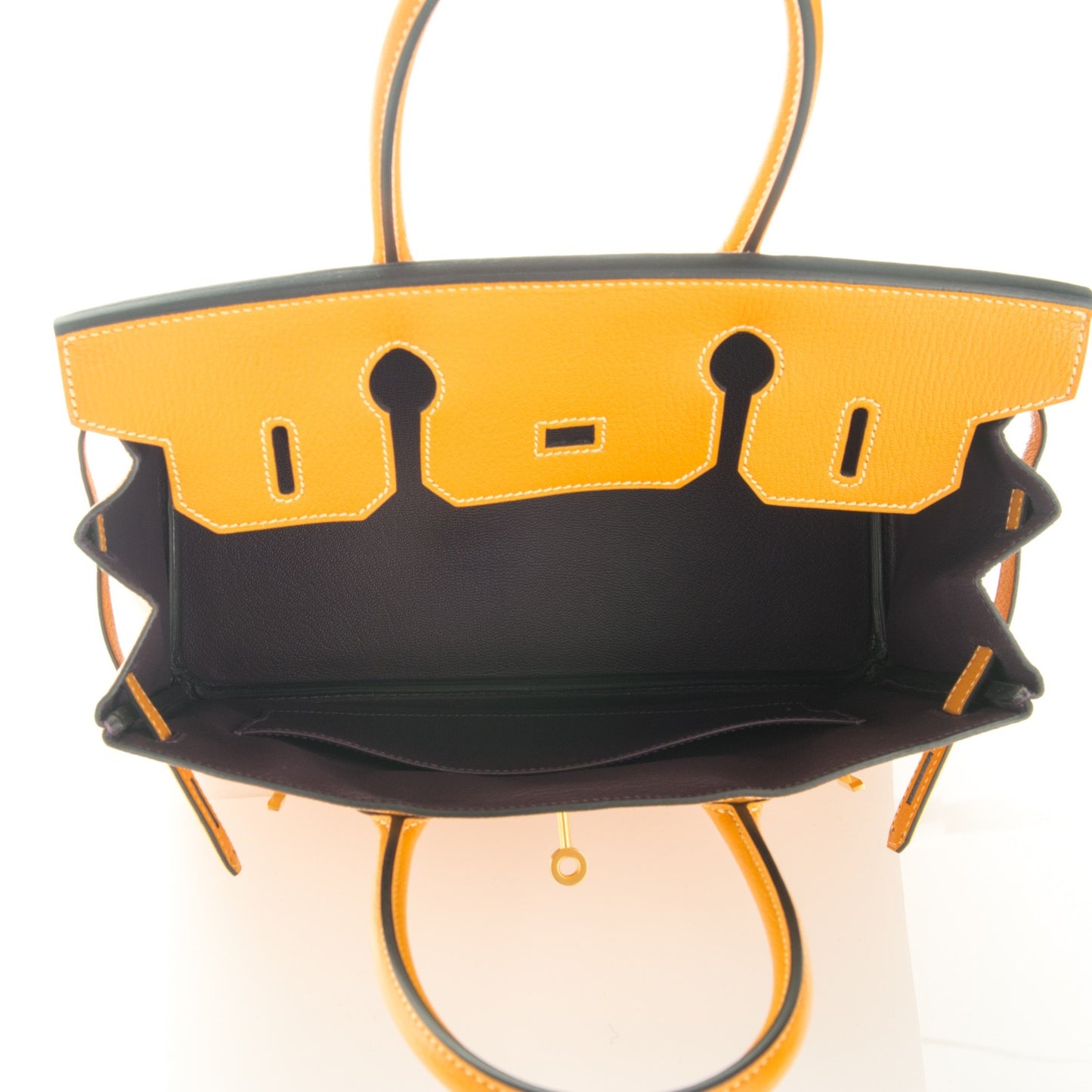 Chevre Mysore Horseshoe Birkin 30 Curry Raisin