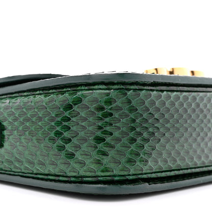 Celine Watersnake Teen Triomphe Green 9 of 14