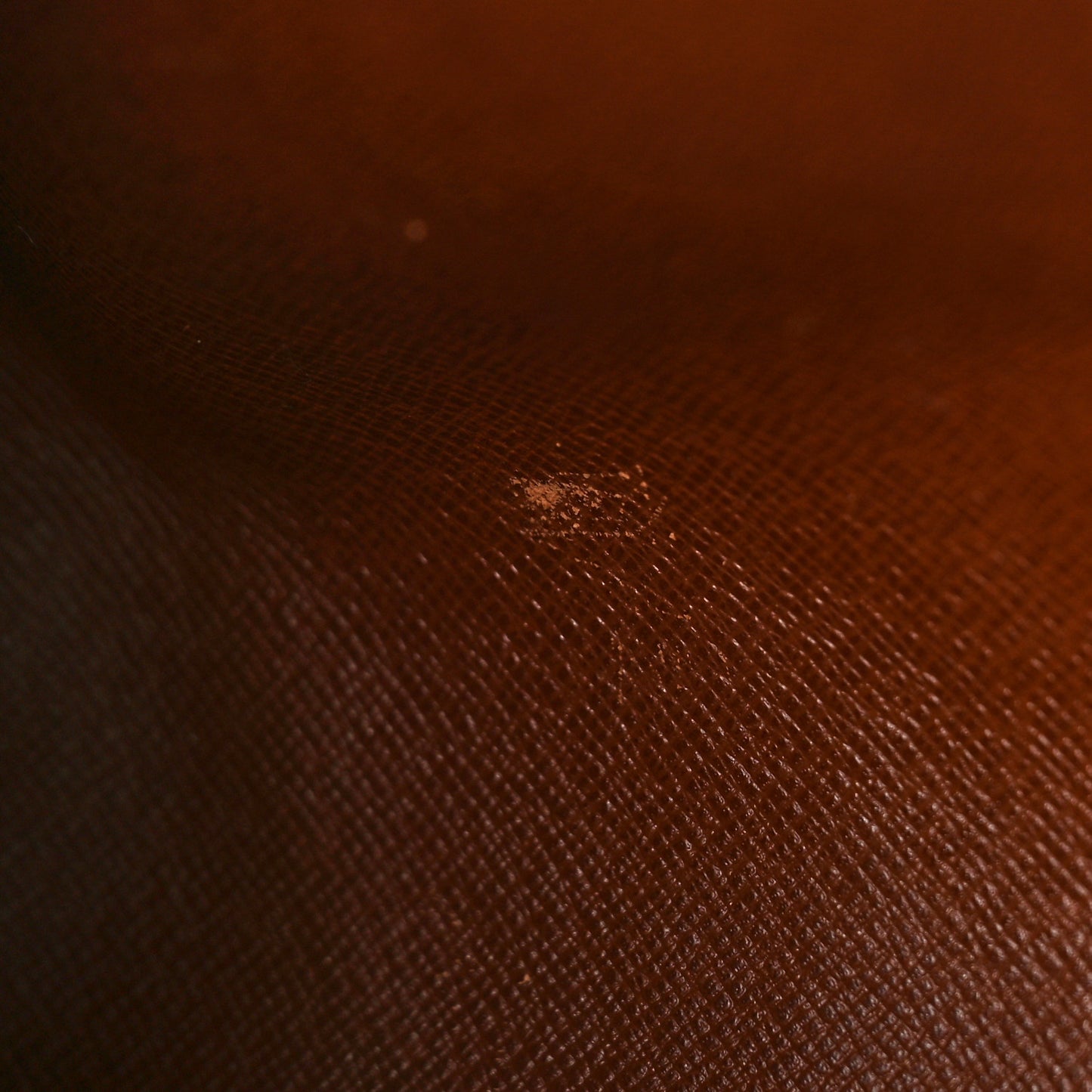 Monogram Papillon 30
