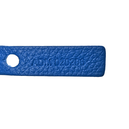 Goyard Goyardine Saint Louis PM Sky Blue 8 of 11