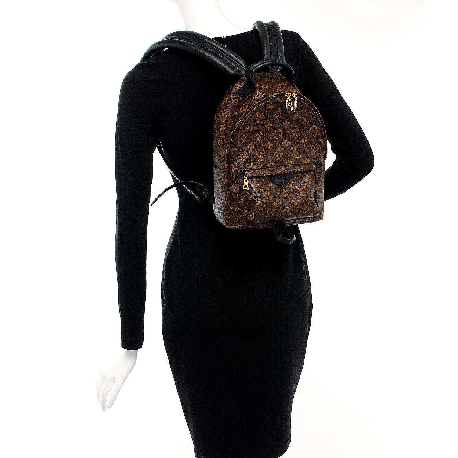 Louis Vuitton Monogram Palm Springs Backpack PM 2 of 6