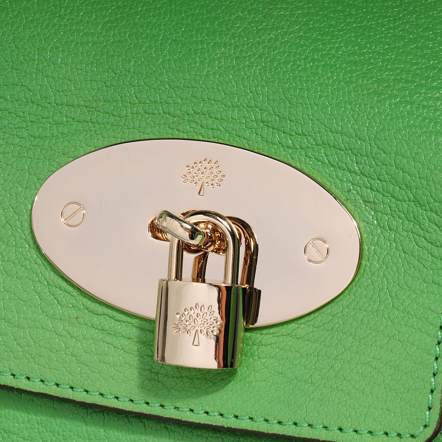 Mulberry Goatskin Bayswater Grass Green 6 of 10