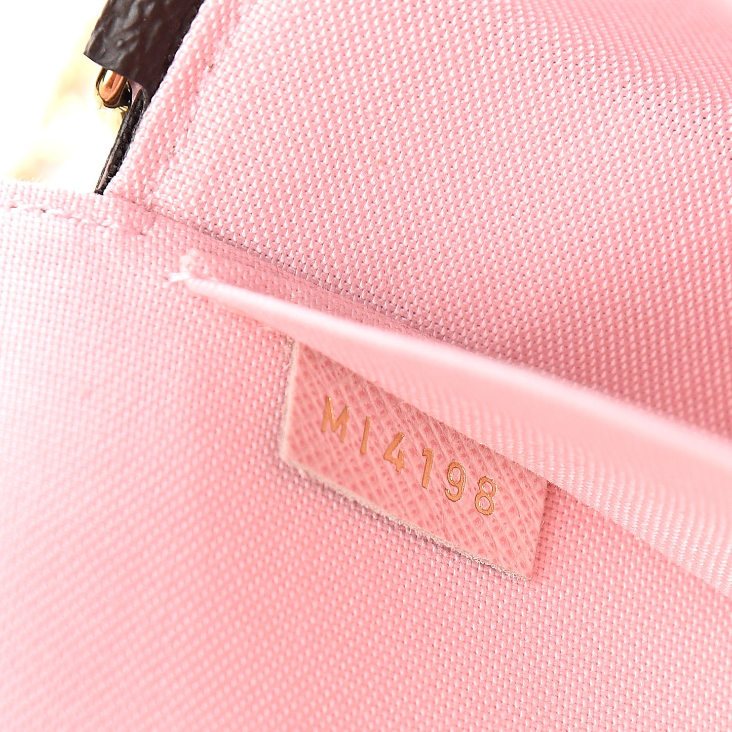 Monogram My LV World Tour Pochette Felicie Chain Wallet Rose Ballerine