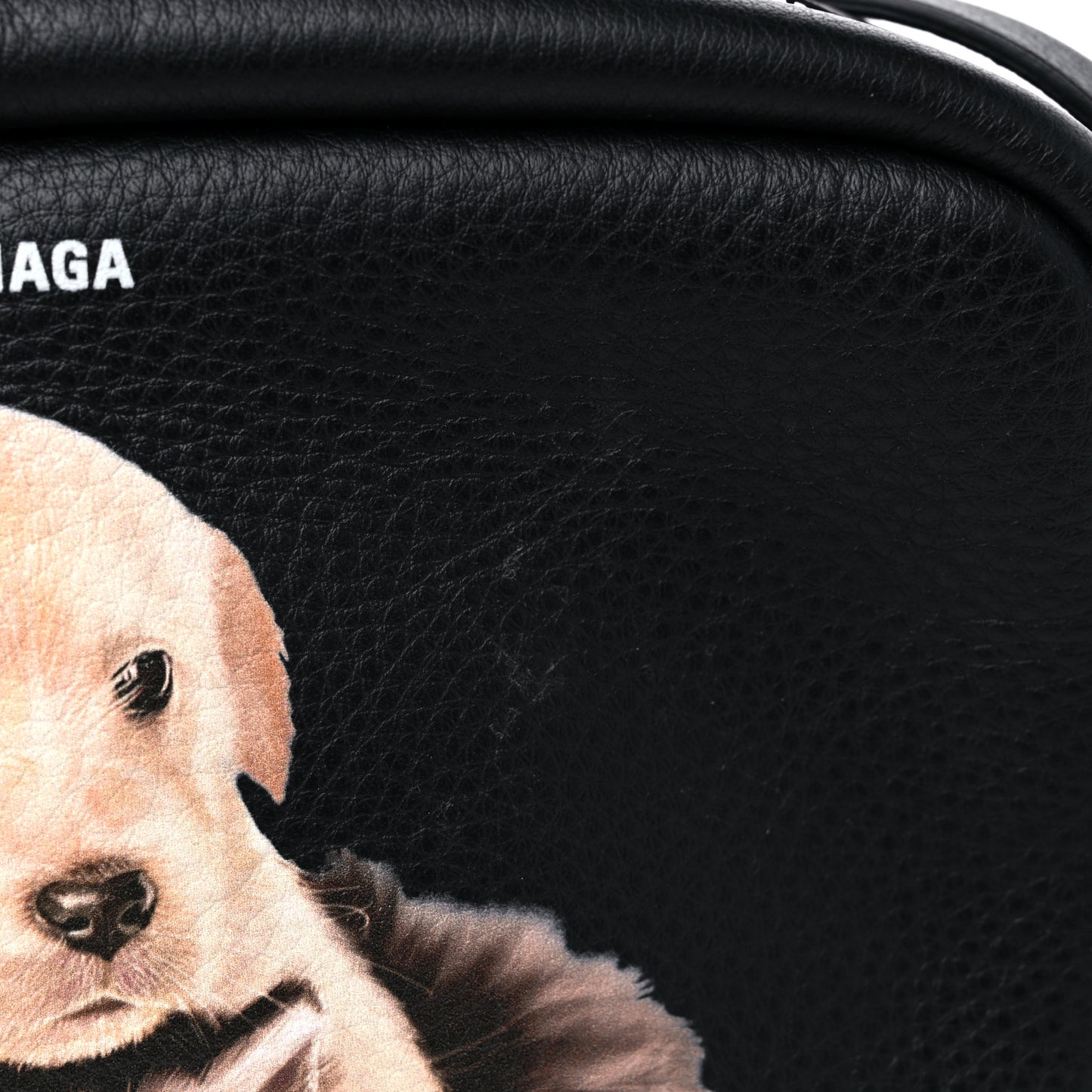 Calfskin Puppy And Kitten S Everyday Camera Bag Black