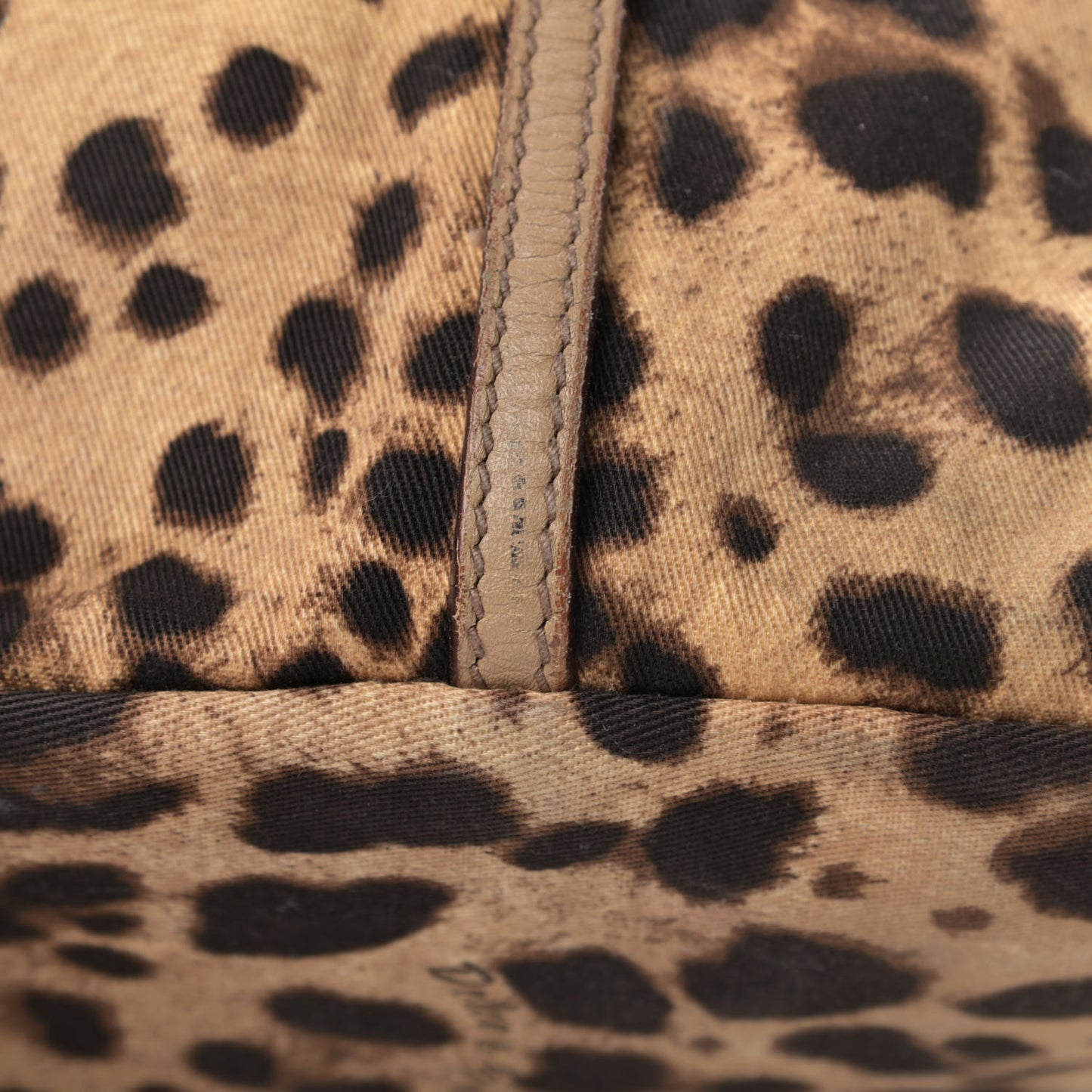 Canvas Leopard Print Calfskin Animalier Tote Beige