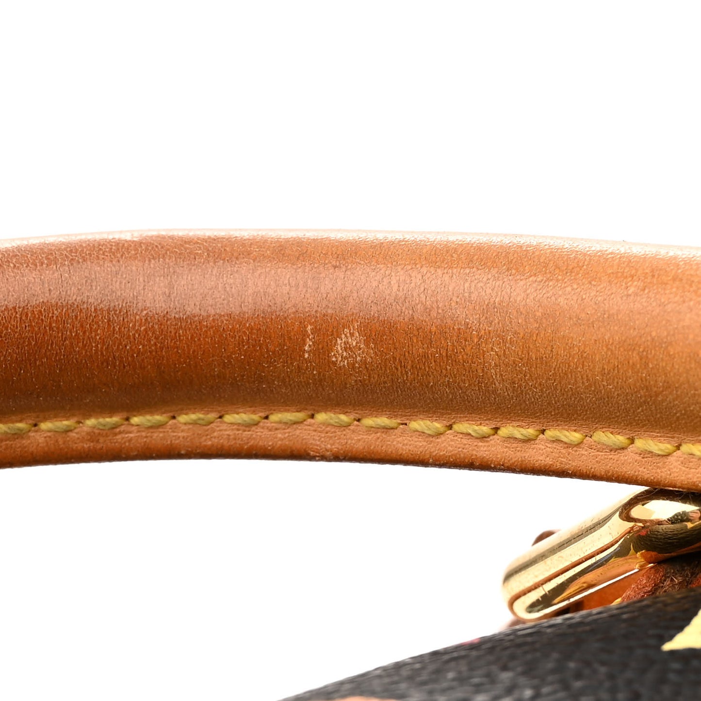 Monogram Multicolor Speedy 30 Black